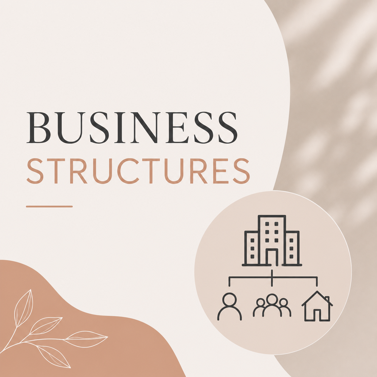 Choosing the Right Business Structure for Your Success